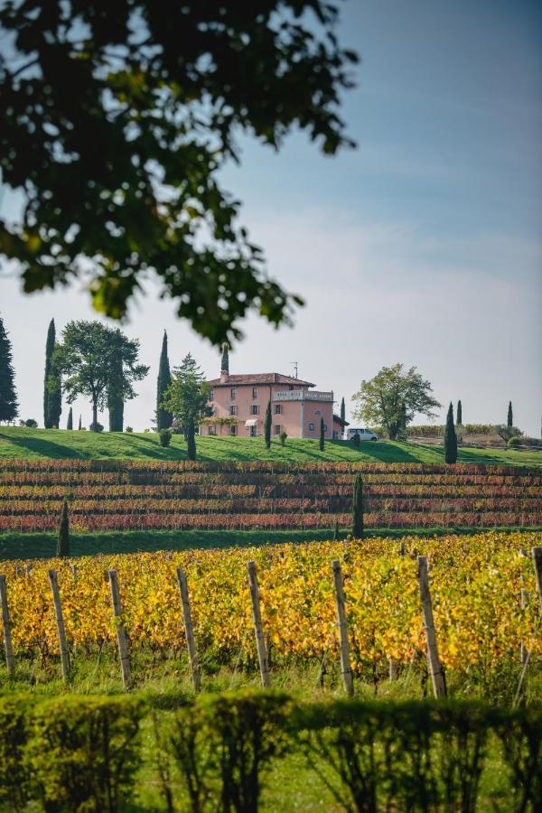 Casale In Collina Pensionat Capriva del Friuli Eksteriør billede