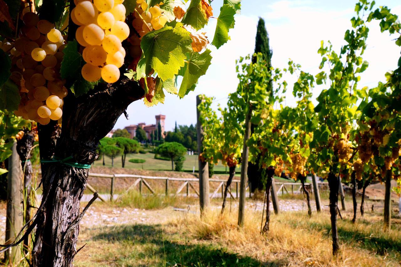 Casale In Collina Pensionat Capriva del Friuli Eksteriør billede